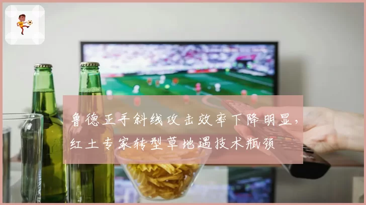 鲁德正手斜线攻击效率下降明显，红土专家转型草地遇技术瓶颈