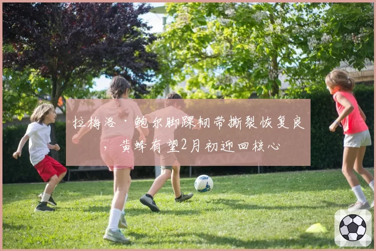 拉梅洛·鲍尔脚踝韧带撕裂恢复良好，黄蜂有望2月初迎回核心